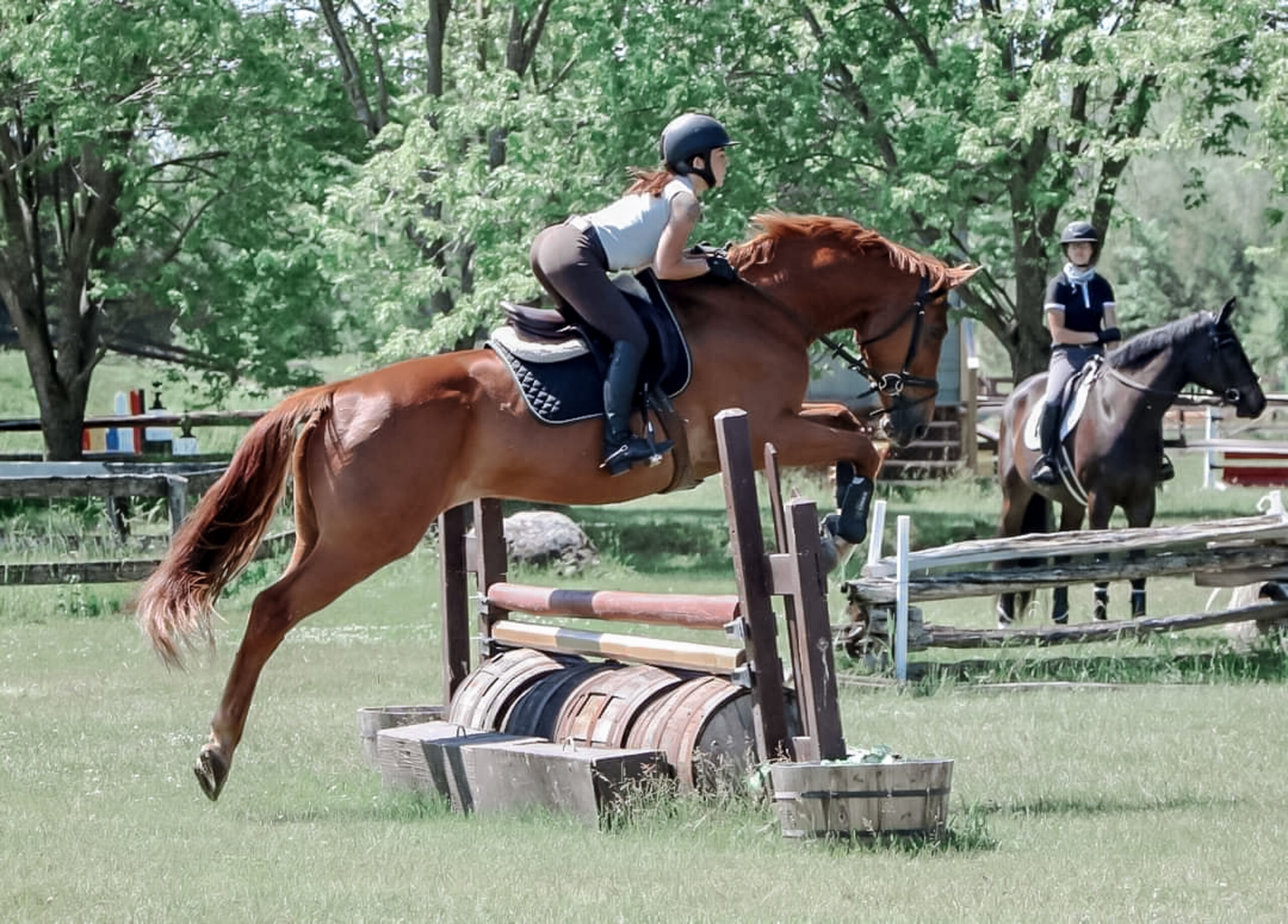 Our team Sixth Line Stables