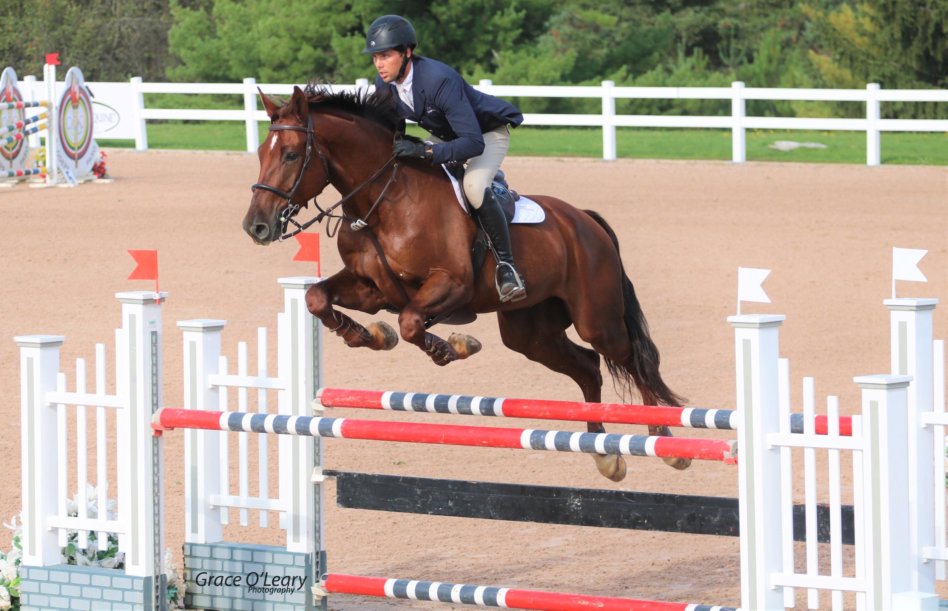 Our team Sixth Line Stables